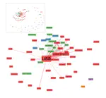 A Bibliometric Analysis of the Internationalisation of Political Science in Europe